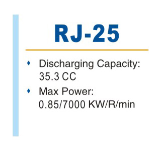 RJ-25